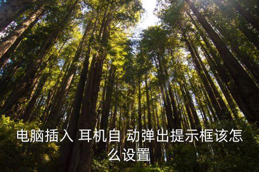 電腦插入 耳機(jī)自 動(dòng)彈出提示框該怎么設(shè)置