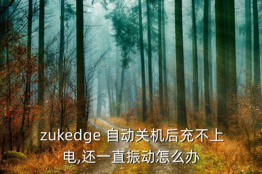 zuk z2充電寶自動(dòng)斷,手機(jī)充電出故障怎么辦?