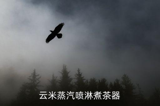 自動(dòng)泡茶神器,自動(dòng)飲水器怎么用?