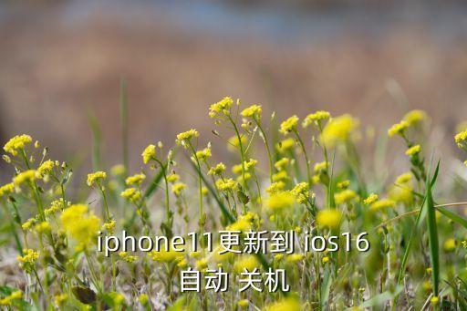 iphone11更新到 ios16自動 關(guān)機(jī)