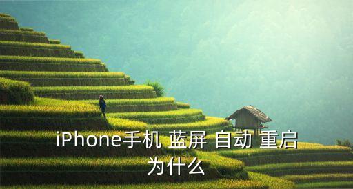 iPhone手機 藍屏 自動 重啟為什么