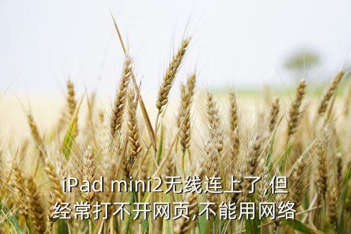 mini2自動斷網(wǎng),網(wǎng)頁打不開怎么辦?