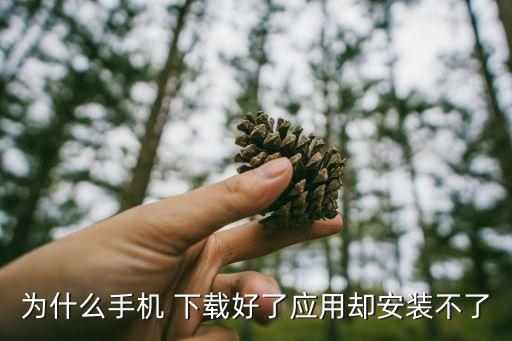 app下載完成自動安裝不了,手機應(yīng)用如何安裝和刪除