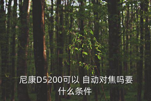 尼康什么鏡頭自動(dòng)對(duì)焦,尼康z(mì)5配老鏡頭自動(dòng)對(duì)焦不可能