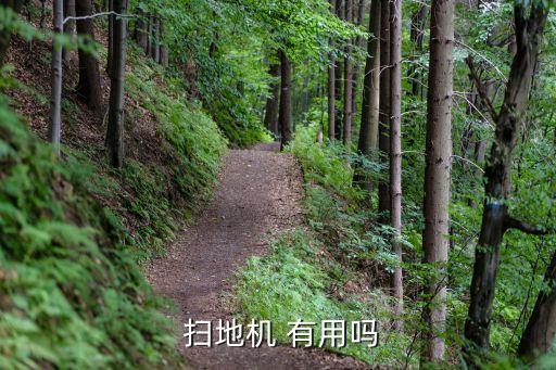 自動(dòng)掃地機(jī)有用嗎,如何買自動(dòng)吸塵掃地機(jī)?這三種比較便宜!