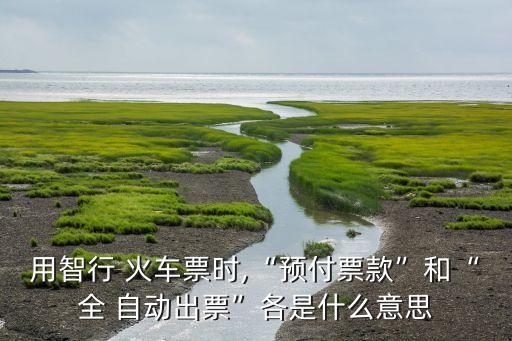 用智行 火車票時,“預(yù)付票款”和“全 自動出票”各是什么意思