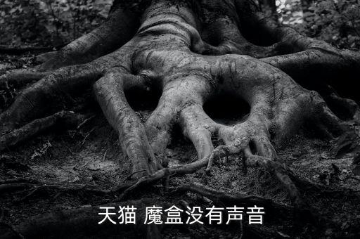 天貓魔盒 關閉自動播放,天貓魔盒失聲三個原因是干擾太多