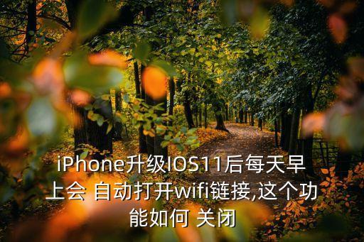 ios自動(dòng)加入網(wǎng)絡(luò)關(guān)閉,如何關(guān)閉wifi?