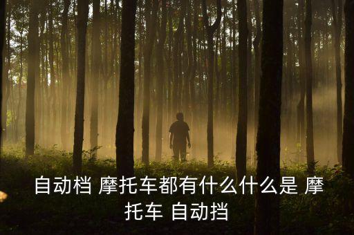 摩托車自動(dòng),摩托車帶自動(dòng)檔帶離合器轉(zhuǎn)彎方向盤