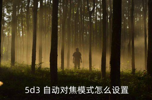 佳能5d3視頻自動追焦,5d3如何設置自動對焦模式?