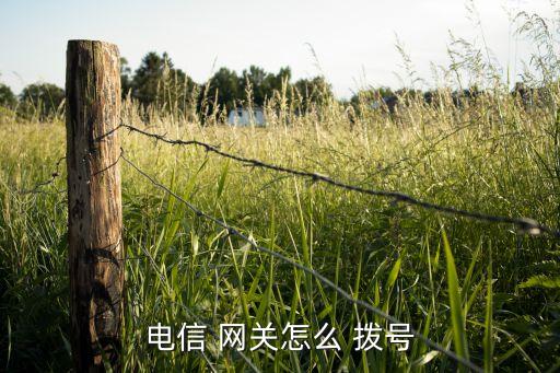 電信 網(wǎng)關(guān)怎么 撥號(hào)