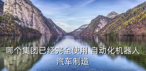 哪個(gè)集團(tuán)已經(jīng)完全使用 自動(dòng)化機(jī)器人汽車制造