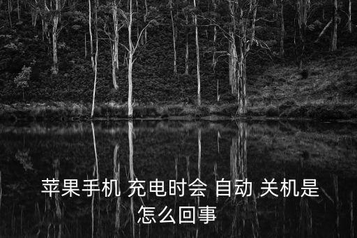 蘋(píng)果7充電自動(dòng)關(guān)機(jī)