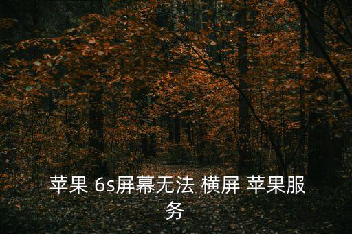  蘋果 6s屏幕無法 橫屏 蘋果服務(wù)