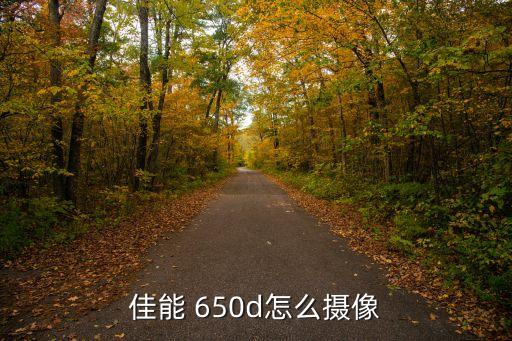 650d 自動(dòng)對(duì)焦,佳能650d自動(dòng)對(duì)焦原理與攝體位置無(wú)關(guān)