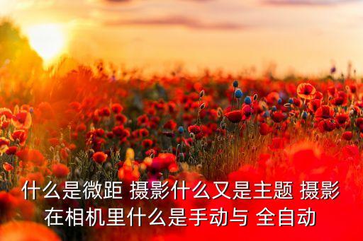 什么是微距 攝影什么又是主題 攝影在相機(jī)里什么是手動(dòng)與 全自動(dòng)