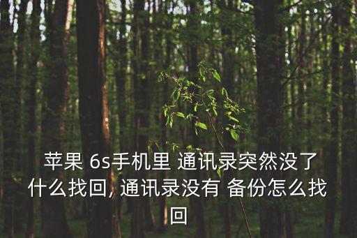 蘋(píng)果6s不自動(dòng)備份通訊錄,蘋(píng)果手機(jī)通訊錄突然消失怎么恢復(fù)?