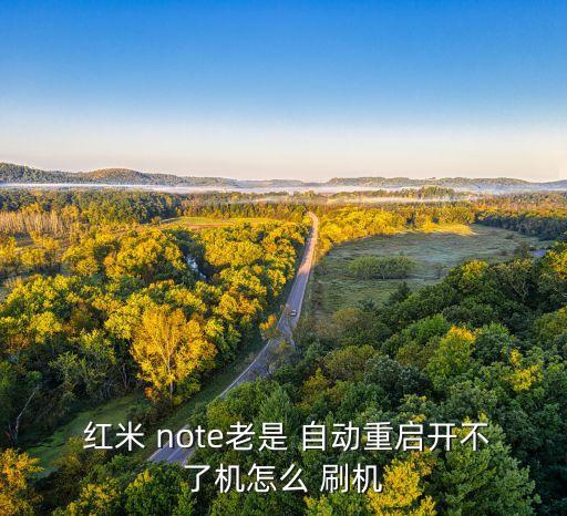  紅米 note老是 自動(dòng)重啟開不了機(jī)怎么 刷機(jī)