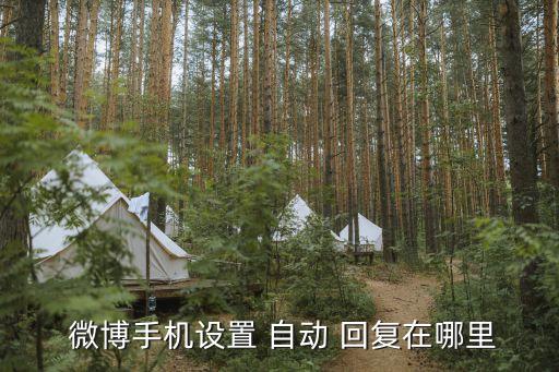 微博添加自動(dòng)回復(fù)內(nèi)容,關(guān)注自動(dòng)回復(fù)和私信回復(fù)相同內(nèi)容