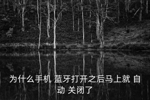 mx4pro藍(lán)牙自動(dòng)關(guān)閉,手機(jī)藍(lán)牙自動(dòng)斷開怎么辦?