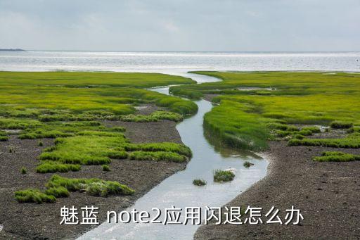 魅藍(lán)note2自動(dòng)優(yōu)化應(yīng)用,手游是否來自官網(wǎng)?