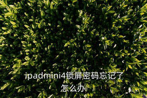  ipadmini4鎖屏密碼忘記了怎么辦