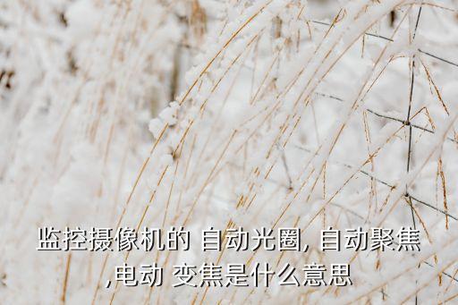 監(jiān)控攝像機的 自動光圈, 自動聚焦,電動 變焦是什么意思