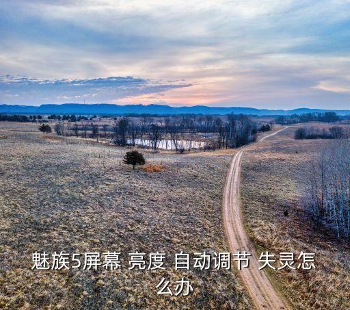 族手機(jī)自動(dòng)亮度失靈,if手機(jī)不能自動(dòng)調(diào)整屏幕亮度解決方法