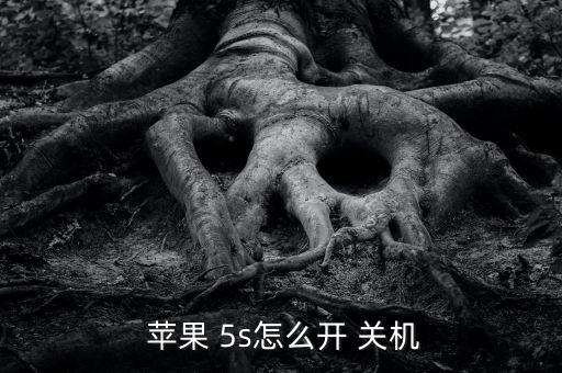 蘋果5s怎么弄自動(dòng)關(guān)機(jī),iphone怎么辦?別慌!