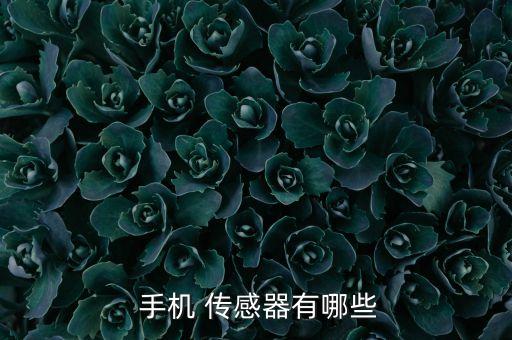  手機 傳感器有哪些