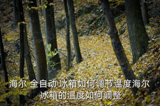全自動冰箱什么意思,三大智能電冰箱品牌之一本地上市