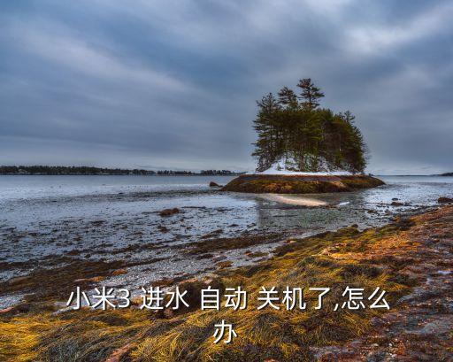  小米3 進(jìn)水 自動(dòng) 關(guān)機(jī)了,怎么辦