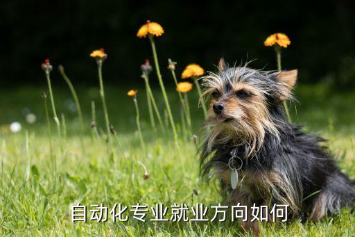 金融和自動(dòng)化前景好,專業(yè)介紹自動(dòng)化工科專業(yè)方向及課程設(shè)置