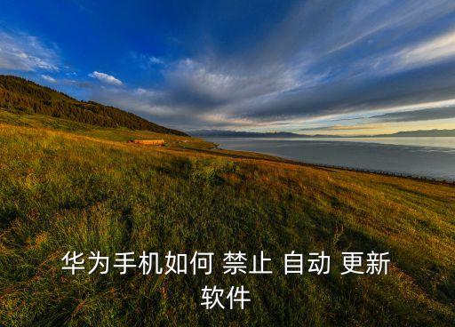  華為手機如何 禁止 自動 更新 軟件