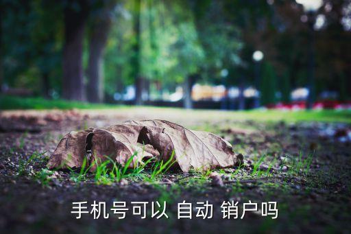 手機號可以 自動 銷戶嗎