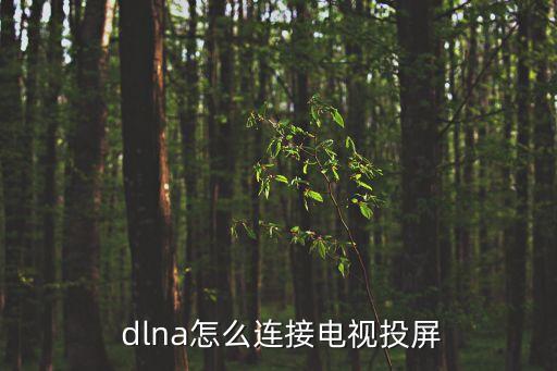 在線dlna自動(dòng)斷開
