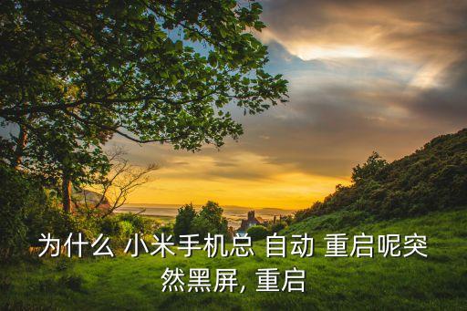 為什么 小米手機(jī)總 自動(dòng) 重啟呢突然黑屏, 重啟