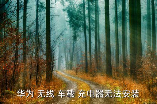 華為 無線 車載 充電器無法安裝