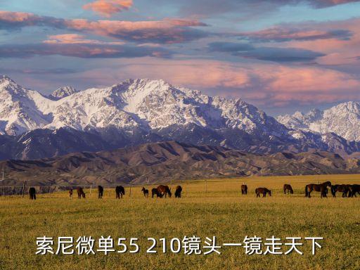 索尼微單55 210鏡頭一鏡走天下