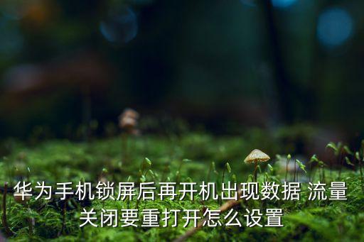 華為手機(jī)鎖屏后再開機(jī)出現(xiàn)數(shù)據(jù) 流量關(guān)閉要重打開怎么設(shè)置
