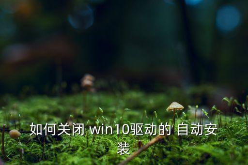 如何關(guān)閉 win10驅(qū)動的 自動安裝