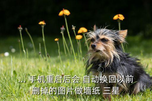 三星手機自動換壁紙,三星手機如何替換動態(tài)壁紙?