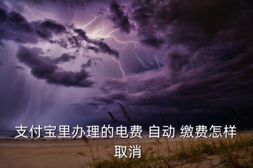 支付寶里辦理的電費(fèi) 自動(dòng) 繳費(fèi)怎樣 取消