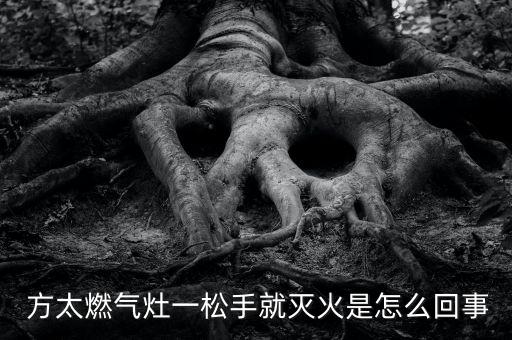方太灶具自動(dòng)熄火,灶具電池半年有負(fù)罪感應(yīng)更換一次