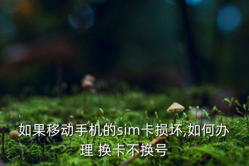 如果移動(dòng)手機(jī)的sim卡損壞,如何辦理 換卡不換號(hào)