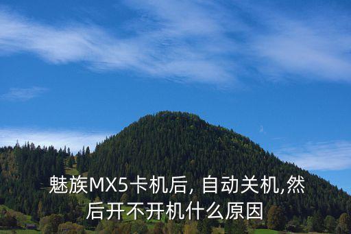  魅族MX5卡機(jī)后, 自動(dòng)關(guān)機(jī),然后開不開機(jī)什么原因