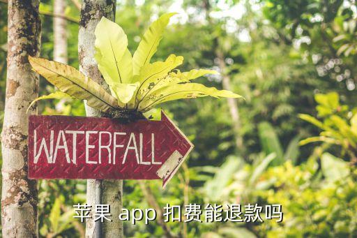 app store自動扣費賠錢,如何注銷app自動扣費?