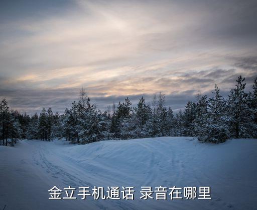  金立手機通話 錄音在哪里