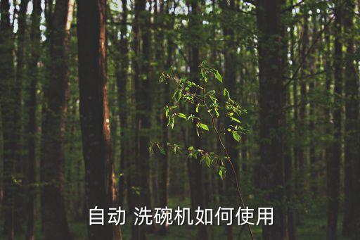 自動(dòng) 洗碗機(jī)如何使用