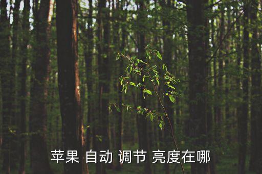 蘋果 自動(dòng) 調(diào)節(jié) 亮度在哪